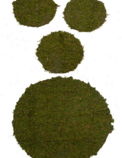 10" Supermoss, Set Of 3