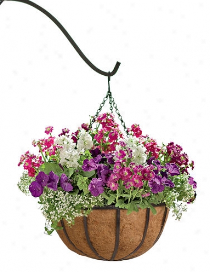 18" Hayrack Hanging Basket