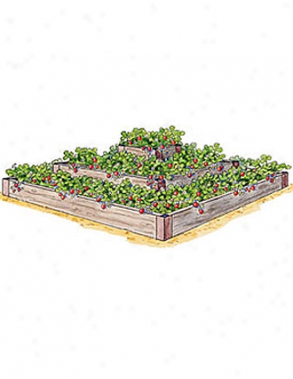 3-tier Strawberry Bed