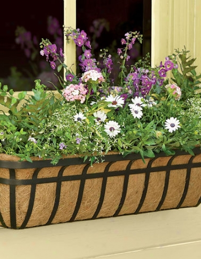 30" Aquaav&#8482; Hayrack Windowbox