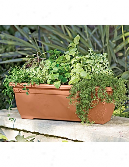 31"  Self-watering Trough Planter