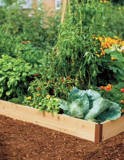 4' Cedar Raised Beds