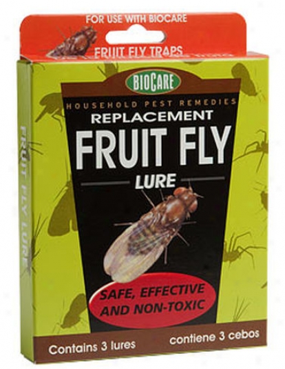 Additional Fruit Fly Lures, Set Of 3