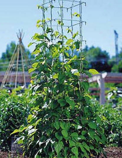 Bean Minaret