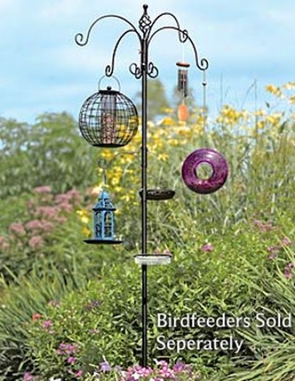 Birdfeeding Station