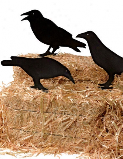 Black Crows, Set Of 3