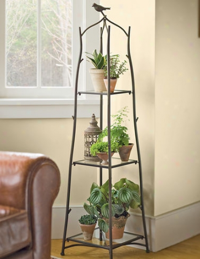 Branch Plant Stand