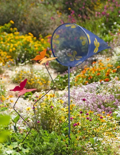 Butterfly Net And Butterflies