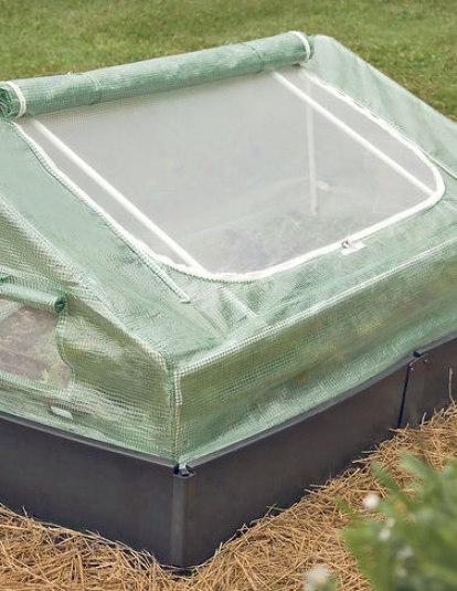 Cold Frame, 3' X 6'