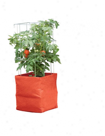 Colorful Tomato Grow Bag