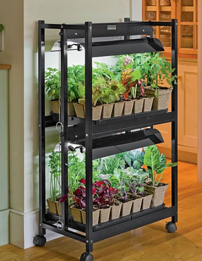 Compact 2-tier Garden Starter Kit