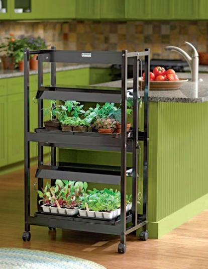 Compact 2-tier Sunlite&#174; Garden