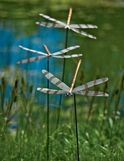 Dragonfly Stake