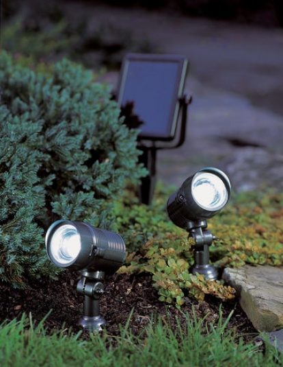 Dual Solar Spotlights