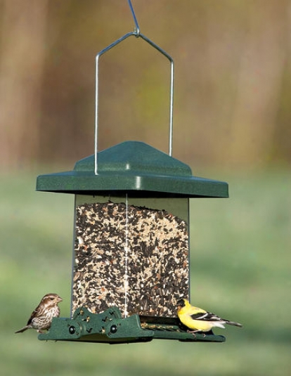 Easy View Squirrel-proof Birdfeeder