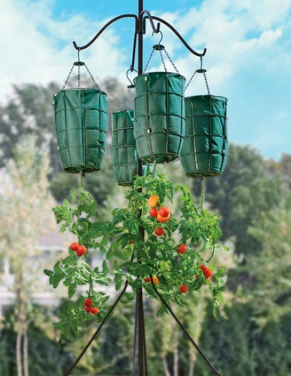 Four-arm Plant Hanger