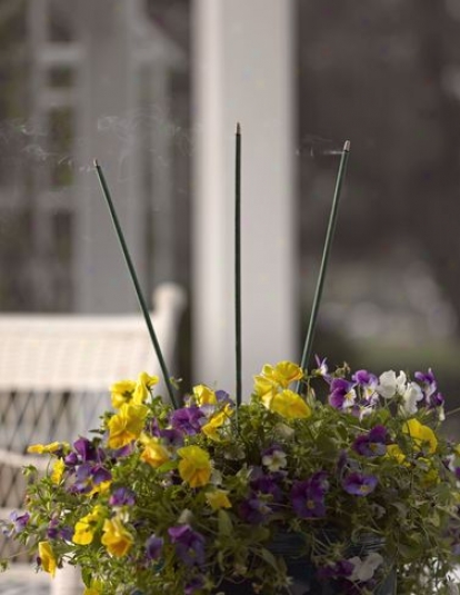 Garden Incense Sticks, Set Of 12