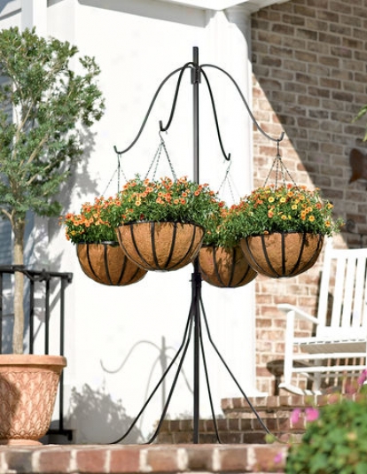 Hanging Basket Stand