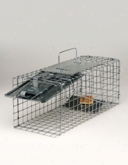 Havahart Squirrel Trap