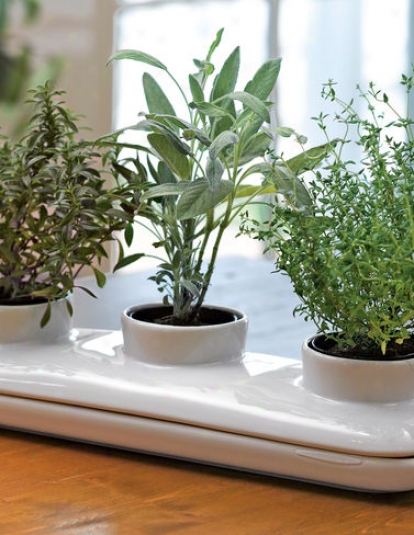 Herb Pot Trio