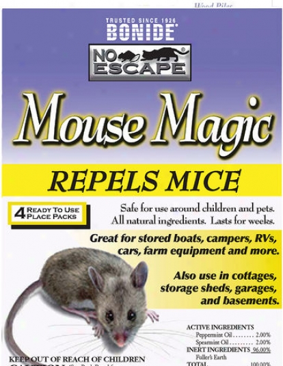 Indoor Mouse Magic