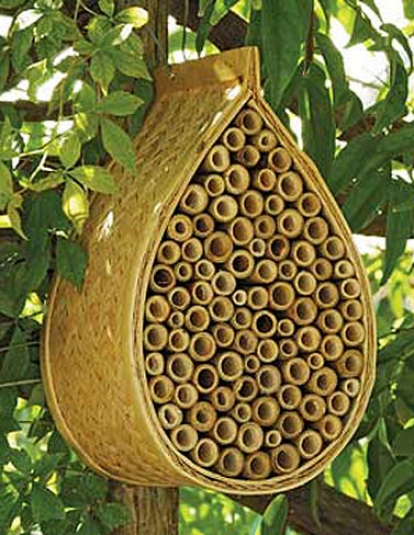 Mason Bee House