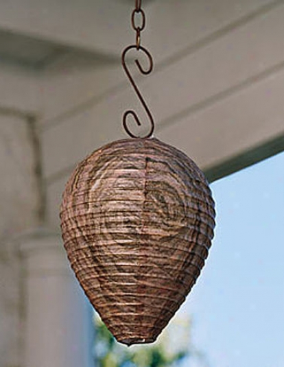 Natural Wasp Deterrent, Set Of 2