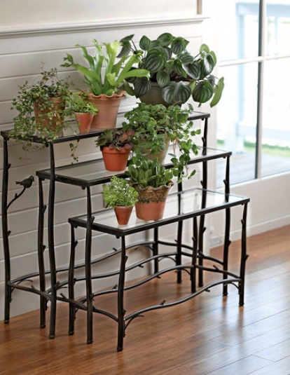 Nesting Branch Plant Stands