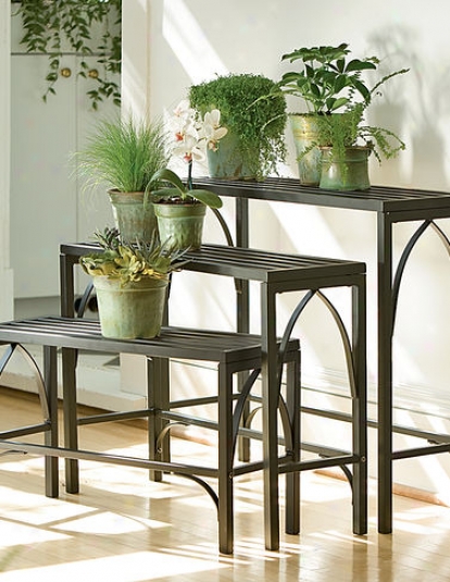 Plant Stand Trio