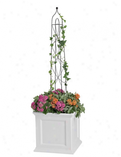 Pot Trellis, Large