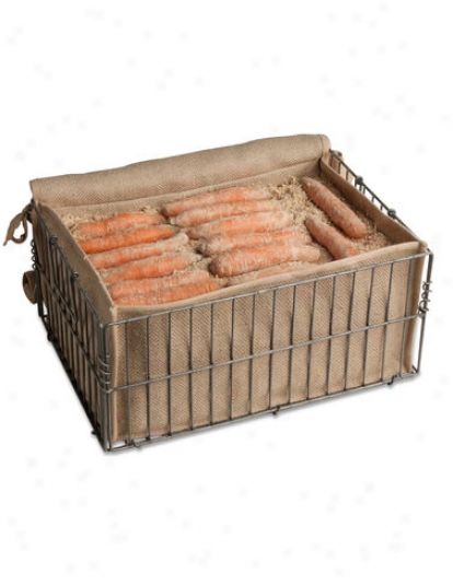 Root Storage Bin