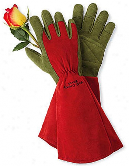 Rose Gloves