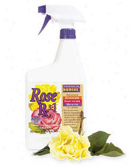 Rose Rx 3-in-1