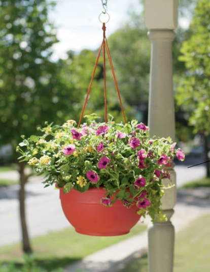 Self-watering Hanging Basket