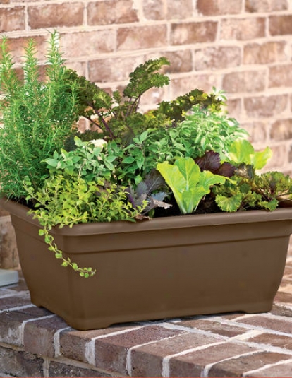 Self-watering Patio Planter