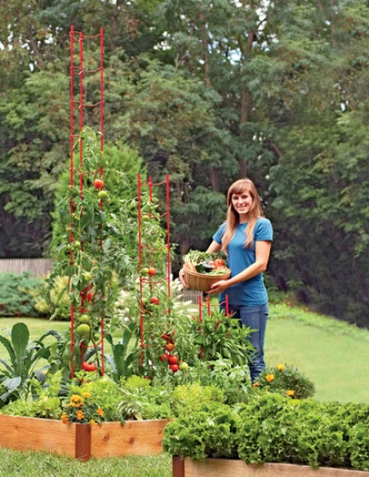 Stacking Tomato Ladders, Set O 6