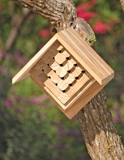 Teak Mason Bee House