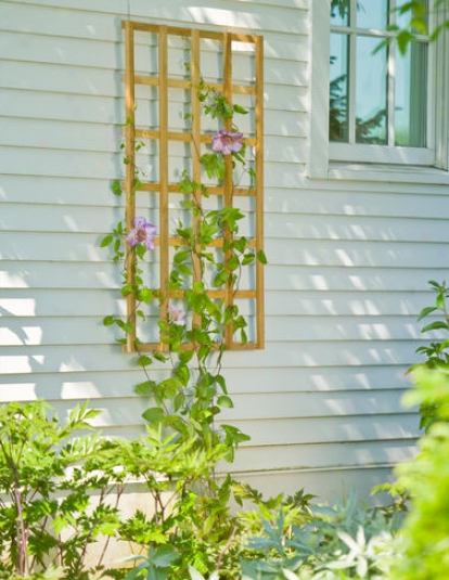 Teak Trellis, 36" X 36"