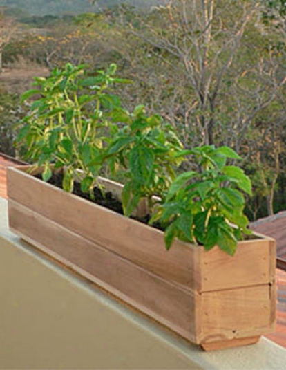 Teak Windowbox, 6&quit; X 30"