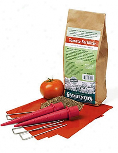 Terrific Tomato Kit