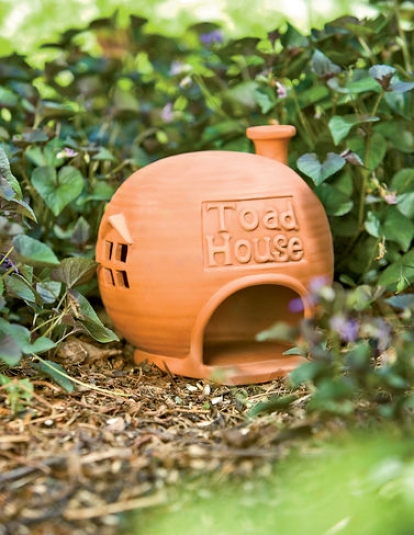 Toad House