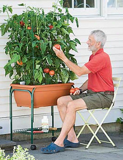 Tomato Success Trolley