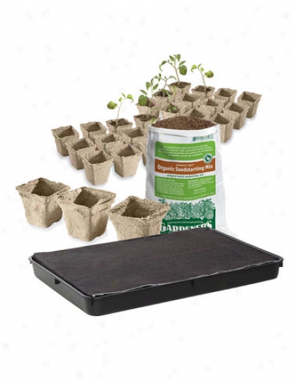 Vegetable Success Kit