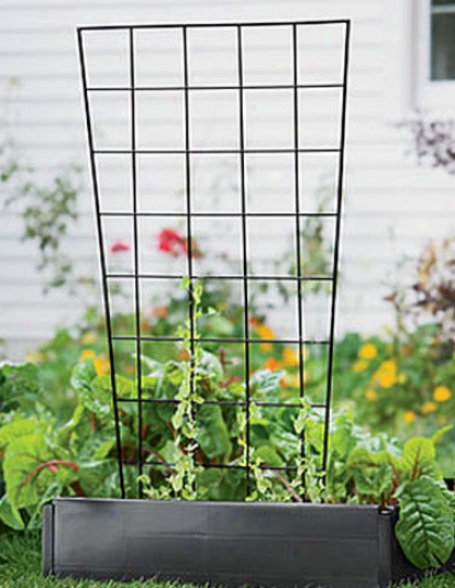 Vegetable Trellis, 56"