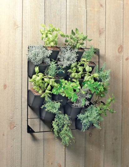 Vertical Wall Garden