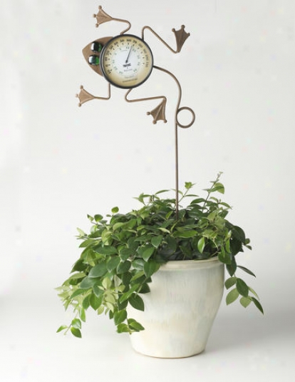 Whimsical Frog Thermometer