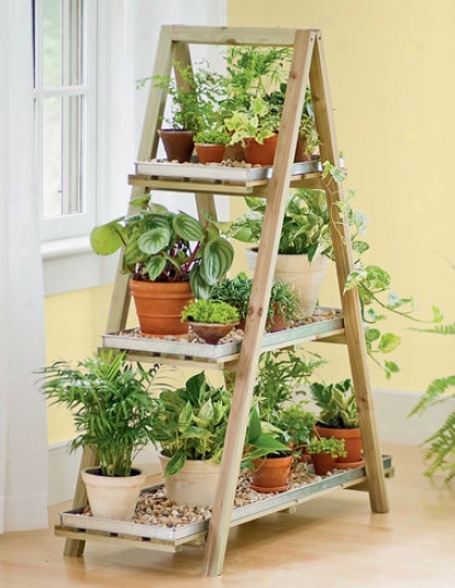 Wood3n A-rame Plant Stand