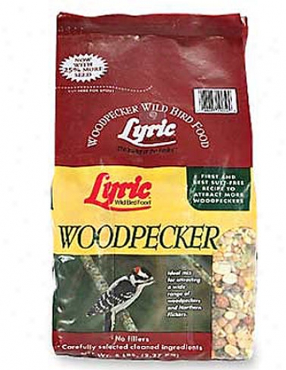 Woodpecker Seed Mix, 5 Lbs.