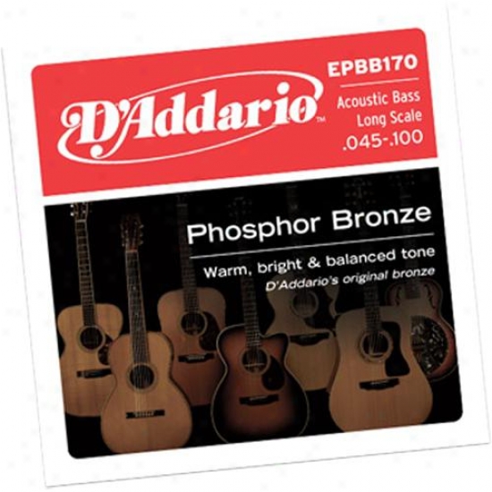 D'addario Epbb170 Phosphor Bronze 45-100 Long Lamina Acoustic Bass Strings