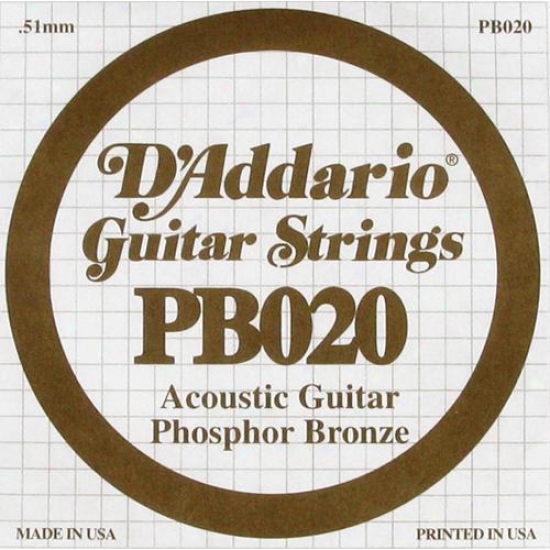 D'addario Pb020 020 Phosphor Bronze Wound